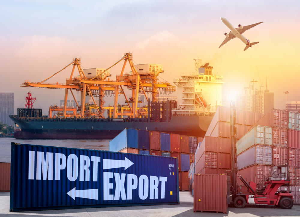 Import-Export Management: Overview